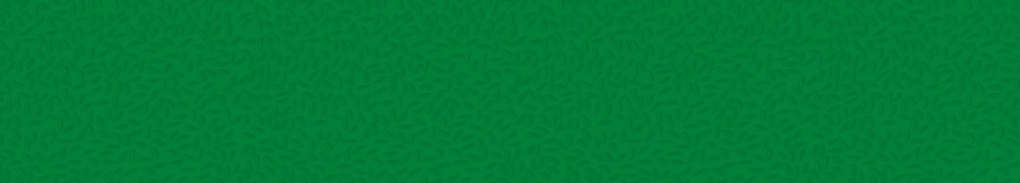 1560x280_Indian