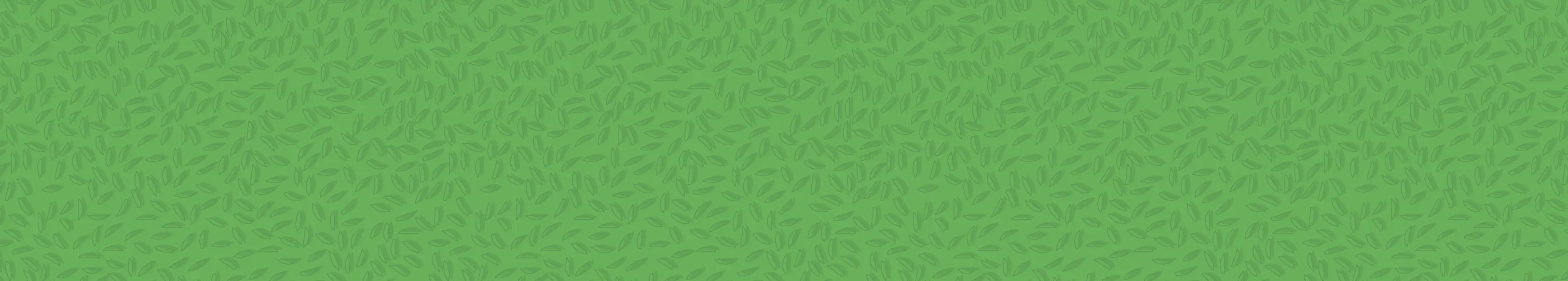 1560x280_Millets