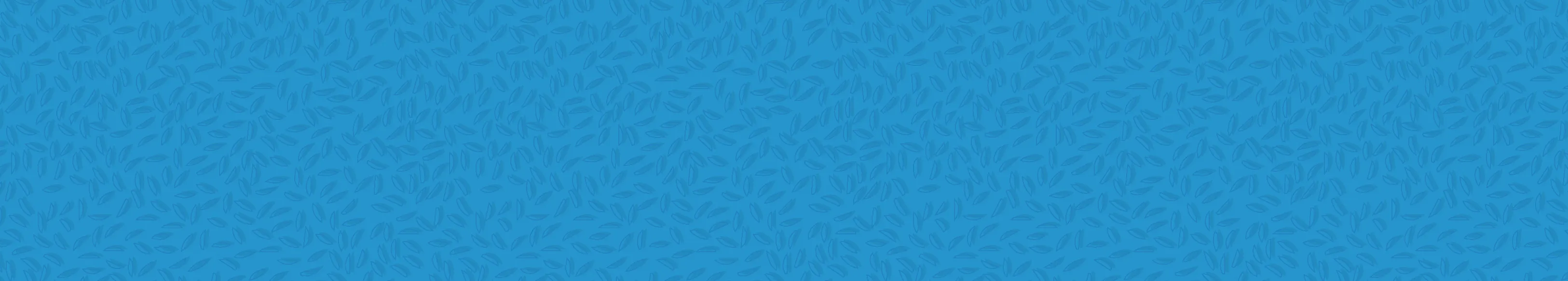 1560x280_Non