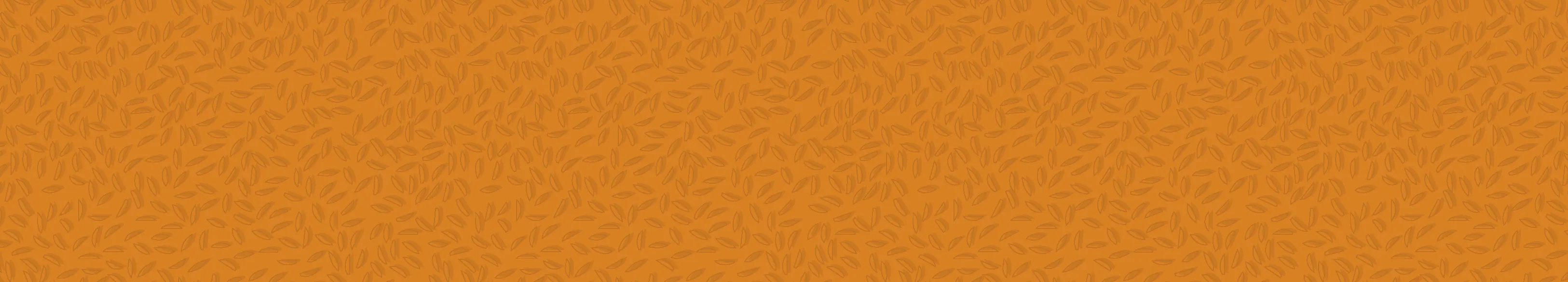 1560x280_Traditional